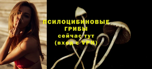 бошки Беломорск
