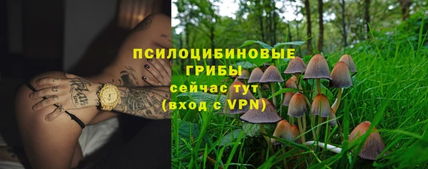 метамфетамин Белокуриха