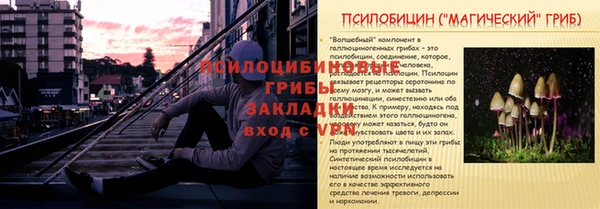 бошки Беломорск