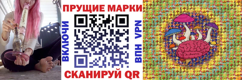 Марки NBOMe 1500мкг  хочу   Чекалин 
