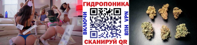 закладки  Чекалин  Канабис семена 